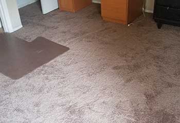 Area Rug Cleaning Drop Off In Monrovia